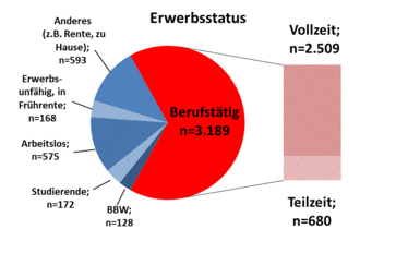 Kuchendiagramm, siehe Auswertung im Absatz vorher, Berufstätige 3.189 - darunter 2.509 Vollzeit und 680 Teilzeit
